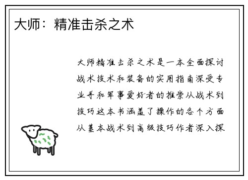 大师：精准击杀之术